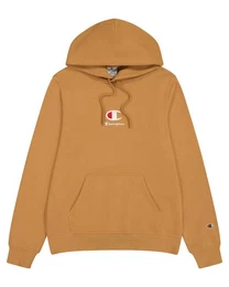 Sweatshirt Herren Hoodie Slim Fit (1-tlg)