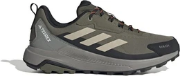 TERREX ANYLANDER R.RDY OLISTR/WONBEI/CBLACK Trekkingschuh