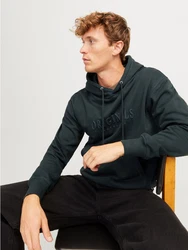 Jack & Jones Sweatshirt JORFREDERIKSBERG Dunkelgrün/Grün