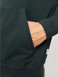 Jack & Jones Sweatshirt JORFREDERIKSBERG Dunkelgrün/Grün