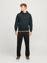 Jack & Jones Sweatshirt JORFREDERIKSBERG Dunkelgrün/Grün