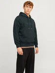 Jack & Jones Sweatshirt JORFREDERIKSBERG Dunkelgrün/Grün