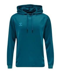 hummel Kapuzenpullover Türkis/Grün