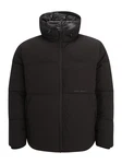 Jack & Jones Plus Jacke JORVesterbro 
