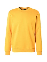 Only & Sons Sweatshirt 'ONSCONNOR' 