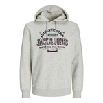Jack & Jones Sweatshirt JJELOGO SWEAT HOOD 2 COL 24/25 NOOS Grau/Hellgrau/Braun/Khaki/Creme