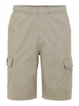 Iriedaily Shorts 'Work N Roll' (1-tlg) 
