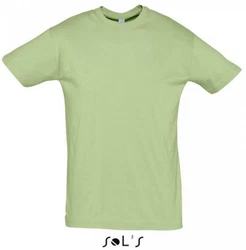 SOLS Rundhalsshirt Regent Herren T-Shirt 