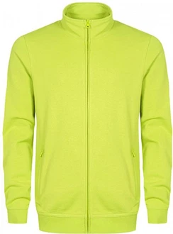 EXCD by Promodoro Sweatjacke Herren Neonfarben/Grün/Gelb