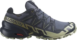 SHOES SPEEDCROSS 6 GTX Grisai/Carbon/Tea 000 Laufschuh