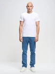 Big Star T-Shirt_ss T-Shirt (152536) Creme/Weiß (152536)