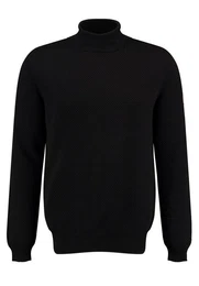 Stehkragenpullover MST KLAWARD turtle