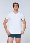 Chiemsee T-Shirt Doppelpack V-Neck (2-tlg) Weiß/Grau/Hellblau