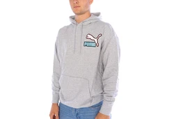 PUMA Hoodie Fandom lig gre