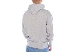 PUMA Hoodie Fandom lig gre