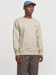 Jack & Jones Sweatshirt JJEBRADLEY GRAPHIC SWEAT CREW NOOS Khaki/Hellgrün/Beige