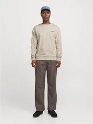 Jack & Jones Sweatshirt JJEBRADLEY GRAPHIC SWEAT CREW NOOS Khaki/Hellgrün/Beige