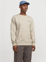 Sweatshirt JJEBRADLEY GRAPHIC SWEAT CREW NOOS mit Front und Back Print