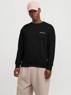 Jack & Jones Sweatshirt JJEBRADLEY GRAPHIC SWEAT CREW NOOS Schwarz