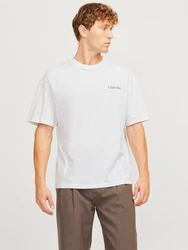 JACK & JONES T-Shirt 'JJEBradley' Weiß/Grau/Hellgrün