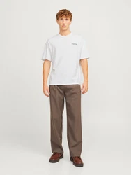 JACK & JONES T-Shirt 'JJEBradley' Weiß/Grau/Hellgrün