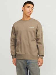 Sweatshirt JJEBRADLEY GRAPHIC SWEAT CREW NOOS mit Front und Back Print