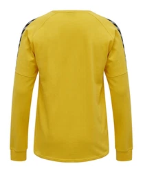 Hummel Sweatshirt Authentic Trainings Longsleeve schwarz (F5001)