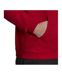 adidas Performance Sweatshirt Entrada 22 Hoody 