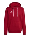 adidas Performance Sweatshirt Entrada 22 Hoody 