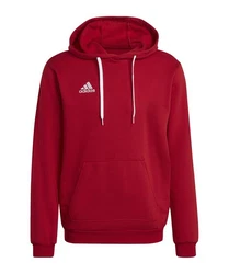 adidas Performance Sweatshirt Entrada 22 Hoody 