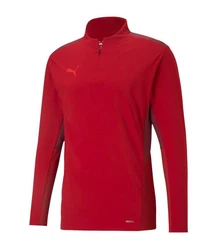 PUMA teamCUP HalfZip Sweatshirt 