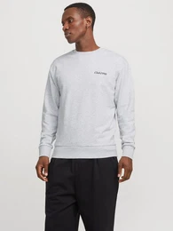 Sweatshirt JJEBRADLEY GRAPHIC SWEAT CREW NOOS mit Front und Back Print