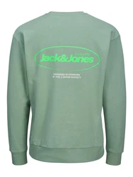 Jack & Jones Sweatshirt JJEBRADLEY GRAPHIC SWEAT CREW NOOS Grün/Hellgrün