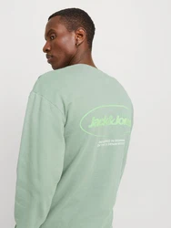 Jack & Jones Sweatshirt JJEBRADLEY GRAPHIC SWEAT CREW NOOS Grün/Hellgrün