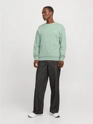 Jack & Jones Sweatshirt JJEBRADLEY GRAPHIC SWEAT CREW NOOS Grün/Hellgrün