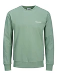 Jack & Jones Sweatshirt JJEBRADLEY GRAPHIC SWEAT CREW NOOS Grün/Hellgrün