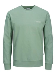 Jack & Jones Sweatshirt JJEBRADLEY GRAPHIC SWEAT CREW NOOS Grün/Hellgrün