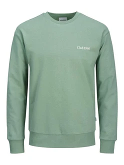 Jack & Jones Sweatshirt JJEBRADLEY GRAPHIC SWEAT CREW NOOS Grün/Hellgrün