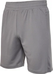hummel Shorts Hmlte Flex Mesh Shorts Hellgrau/Grau/Dunkelgrau