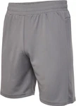 hummel Shorts Hmlte Flex Mesh Shorts Hellgrau/Grau/Dunkelgrau