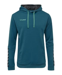 hummel Sweatshirt Authentic Poly Hoody F8745 F8745