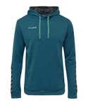 hummel Sweatshirt Authentic Poly Hoody F8745 F8745