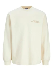 Jack & Jones Langarmshirt 