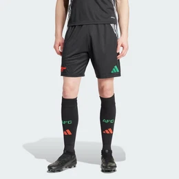 Shorts FC ARSENAL 24/25 AUSWRTSSHORTS