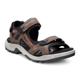 OFFROAD ESPRESSO/COCOA BROWN/BLACK Trekkingsandale