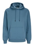 Jack & Jones Sweatshirt JJEBRADLEY HOOD NOOS PLS 