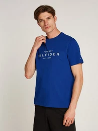 T-Shirt BIG RWB HILFIGER TEE mit Logo
