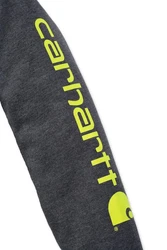 Carhartt Sleeve Logo Kapuzenpullover 