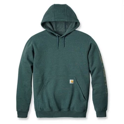 Carhartt Sleeve Logo Kapuzenpullover Dunkelgrün/Grün/Türkis/Blau/Dunkelblau/Hellblau
