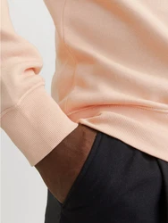 Jack & Jones Sweatshirt JJEStar pfirsich